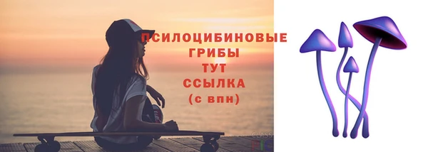 не бодяженный Арсеньев