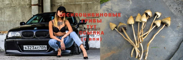 мескалин Аркадак