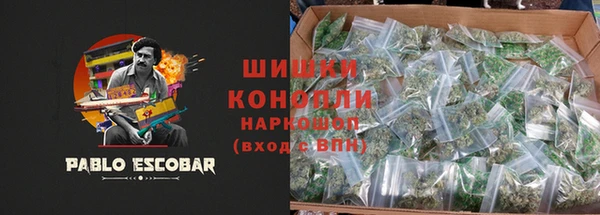 спайс Мегион